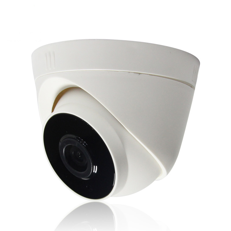 1080P outdoor Dome  IP Camera